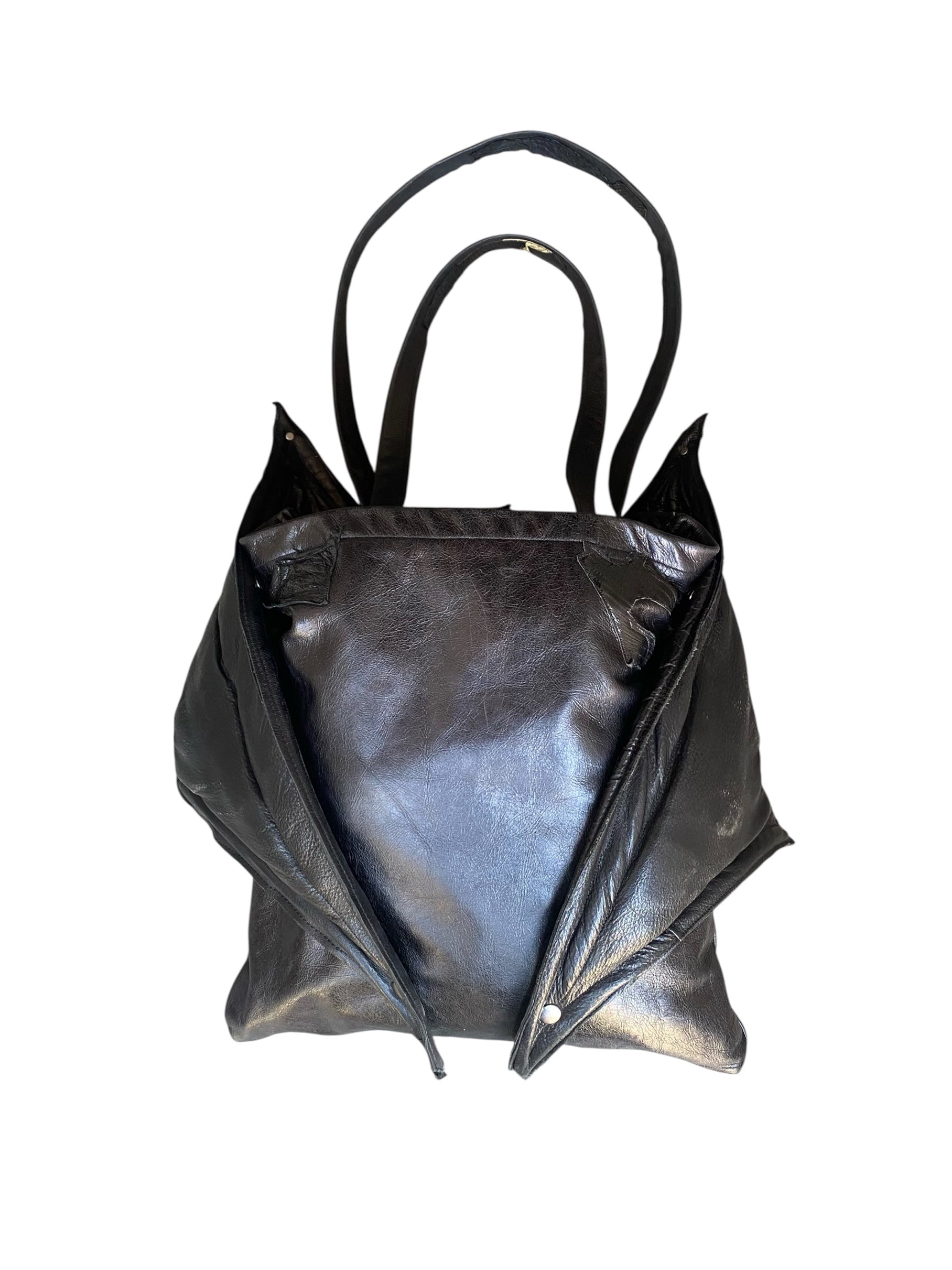 Dracula's Wings Bag