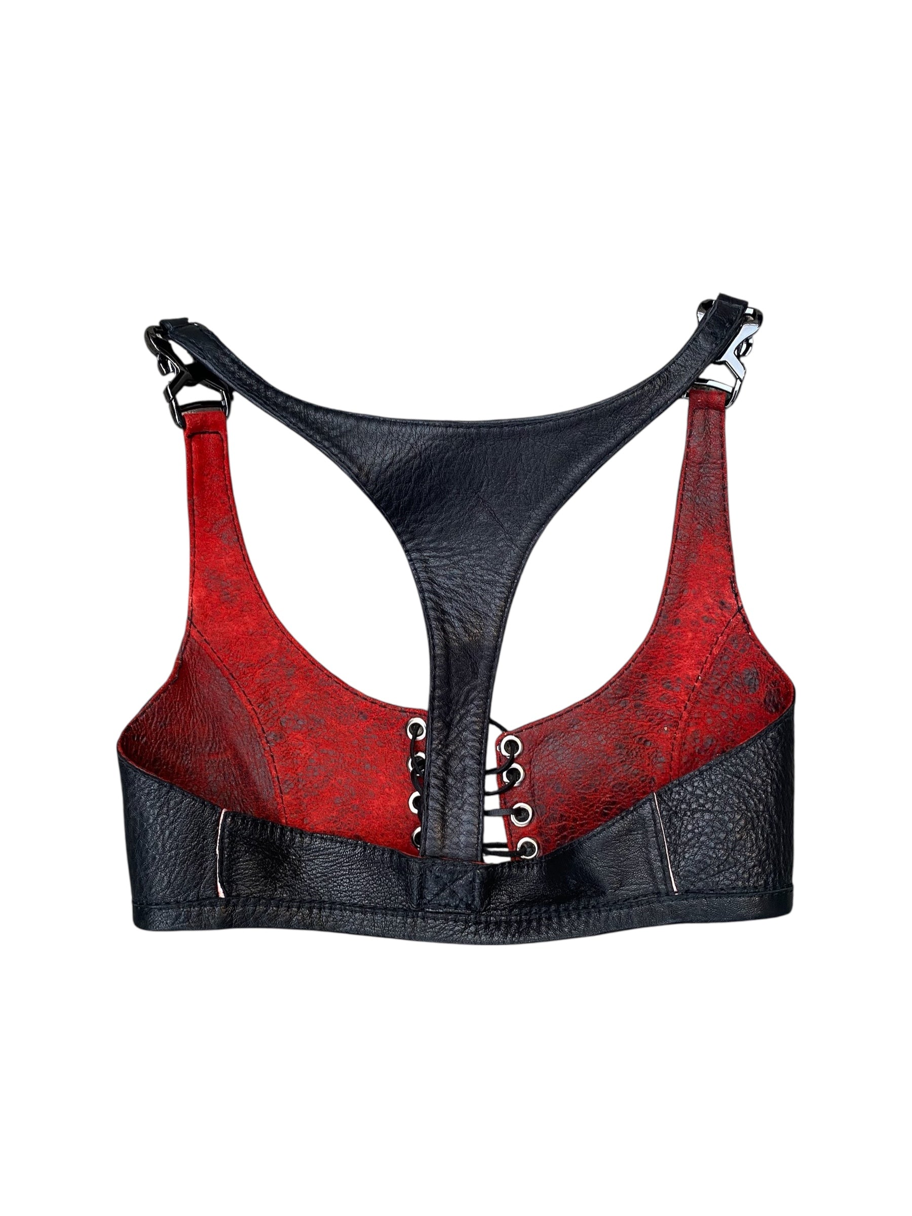 Hybrid Harness