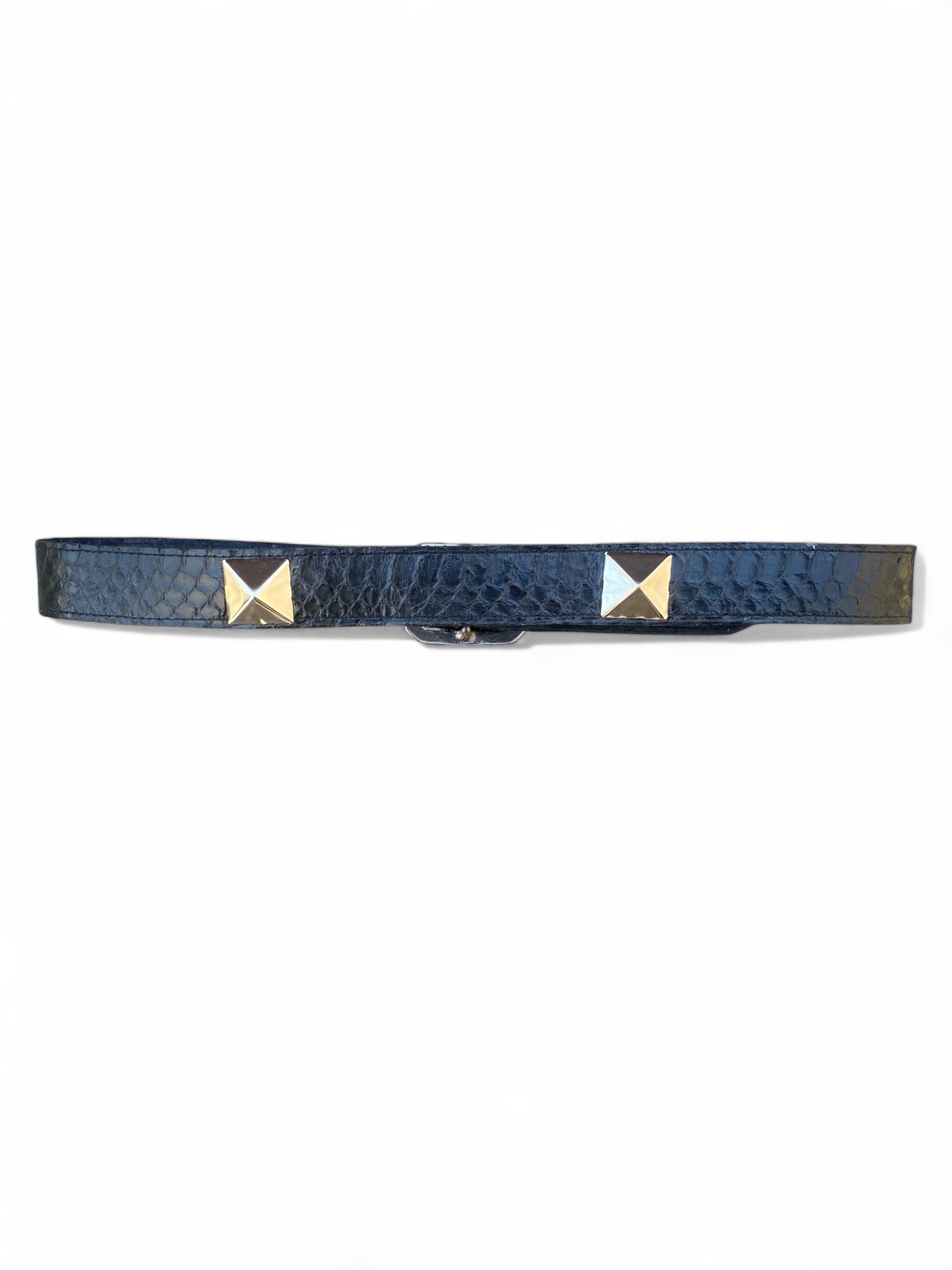 Studded Snake